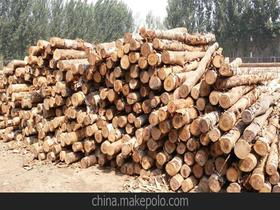 原木材市场价格 原木材市场批发 原木材市场厂家
